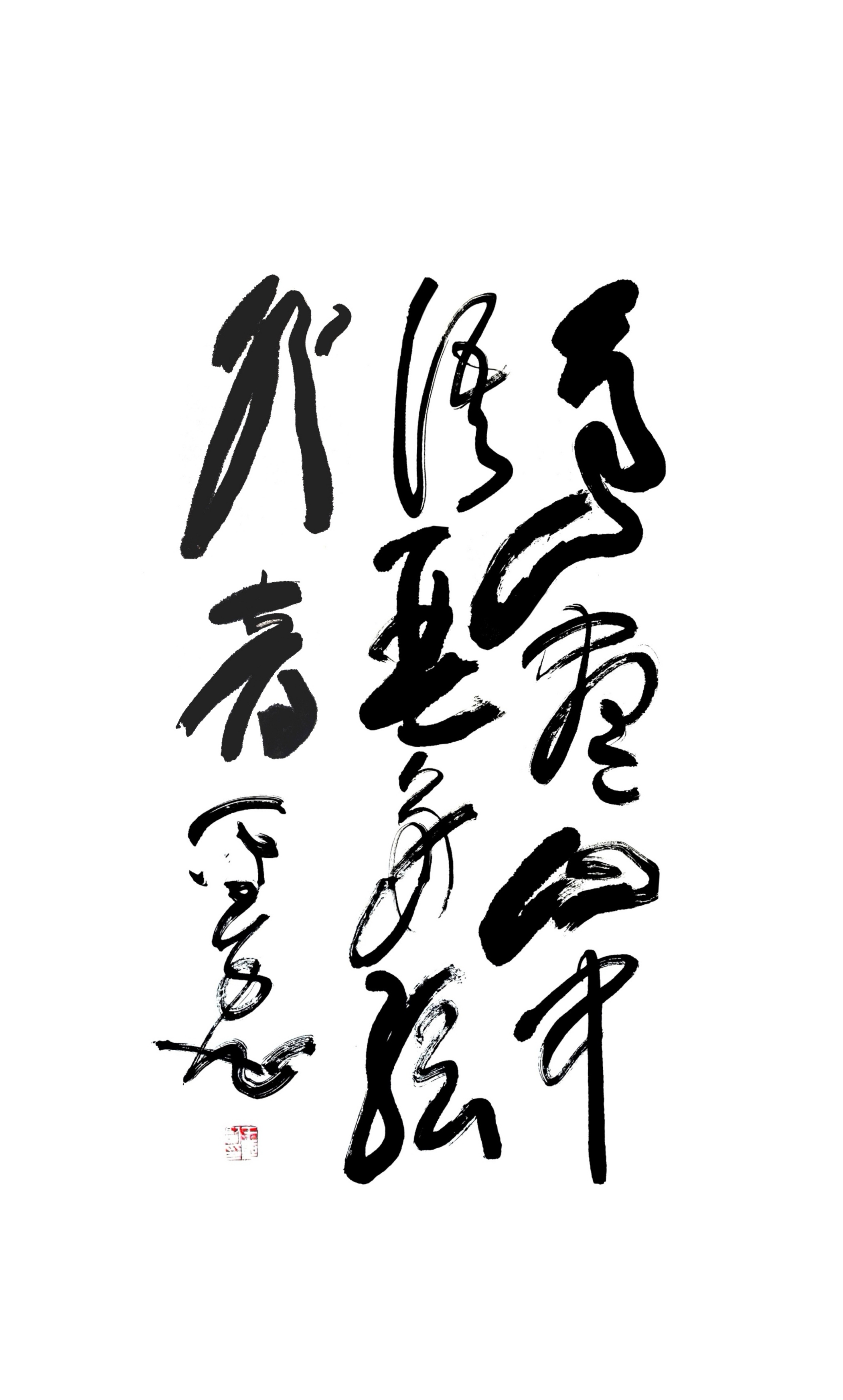 MEITU_20241218_150540233_edit_510372284457538.jpg