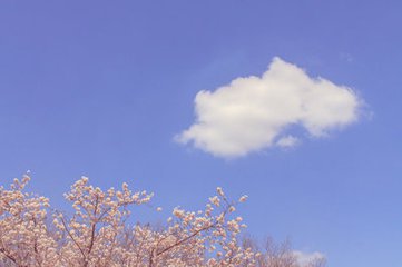 寂静