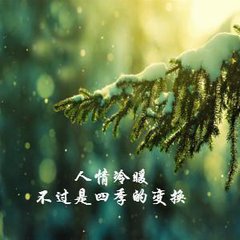 人情冷暖不过是四季的变换