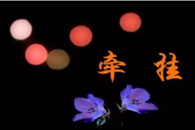 牵挂  （文  孙克攀）