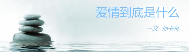 爱情到底是什么（文  孙书林）