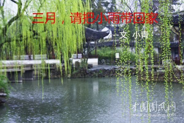 春雨1.jpg