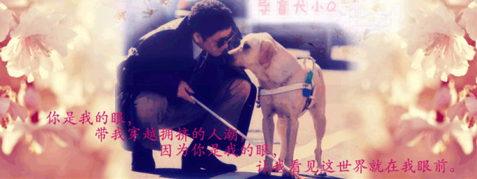  无声的尊重