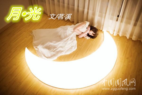  月•光  （文/茗·溪）