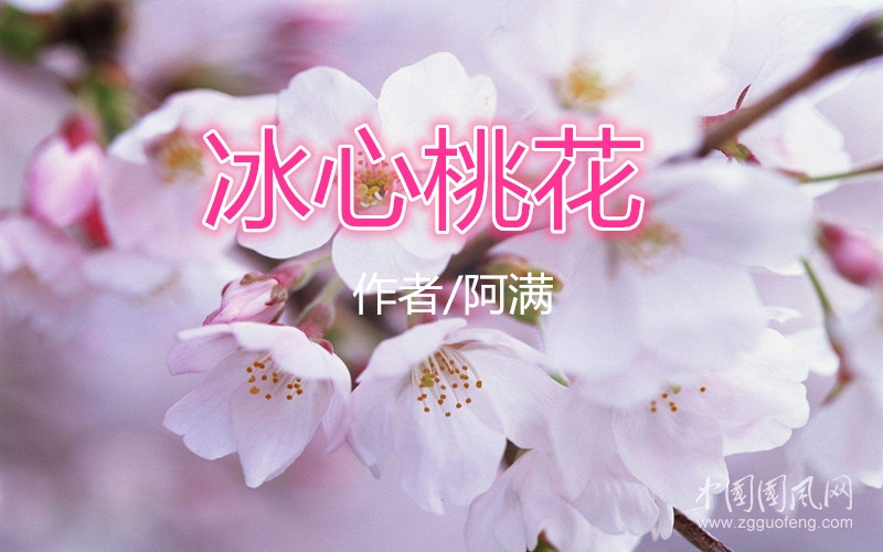 冰心桃花（作者/阿满）