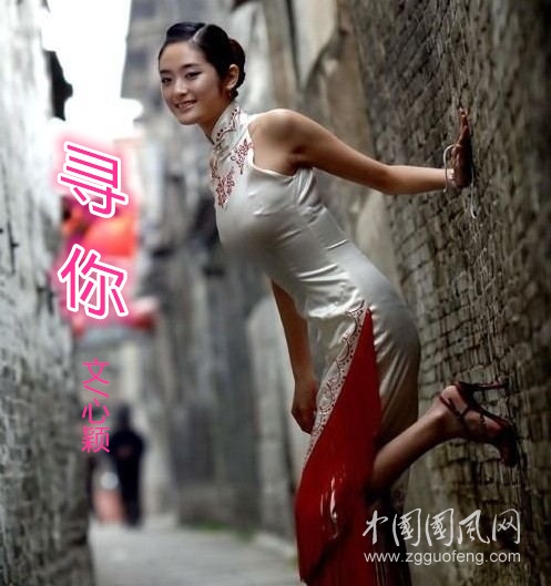  寻  你（文/心颖）
