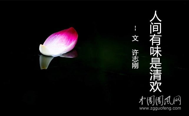  人间有味是清欢（文  许志刚）