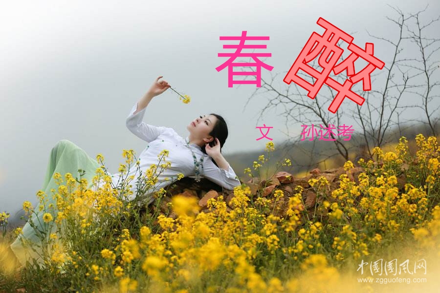 春醉（文 孙述考 ）