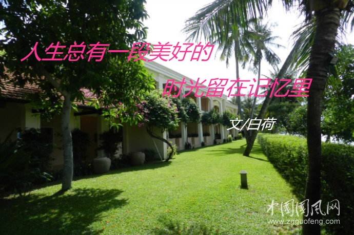 人生总有一段美好的       时光留在记忆了（  文/白荷）