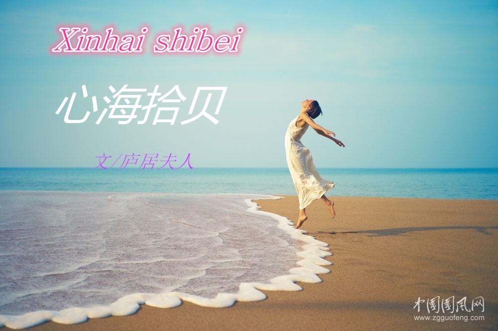 心海拾贝（文/庐居夫人）