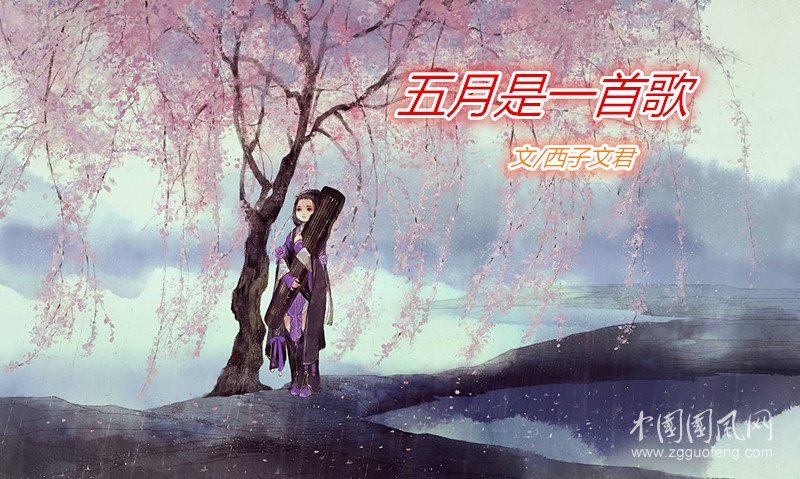 五月是一首歌（文/西子文君）