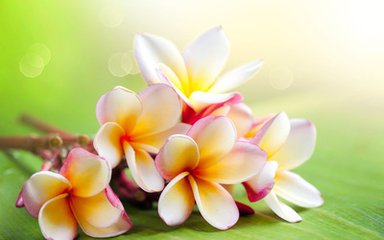 人心再冷，也有余温