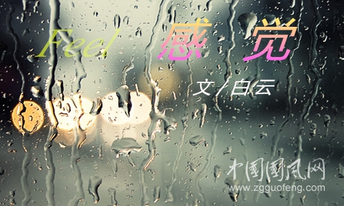 感  觉（外一首）（文 /白 云）