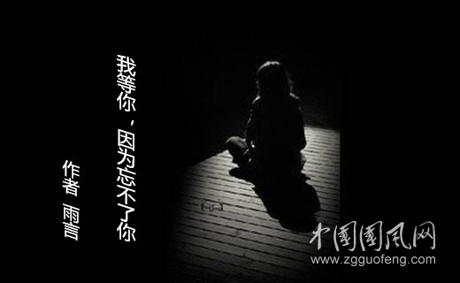 我等你，因为忘不了你（   作者:雨言）