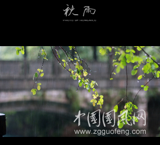 秋雨