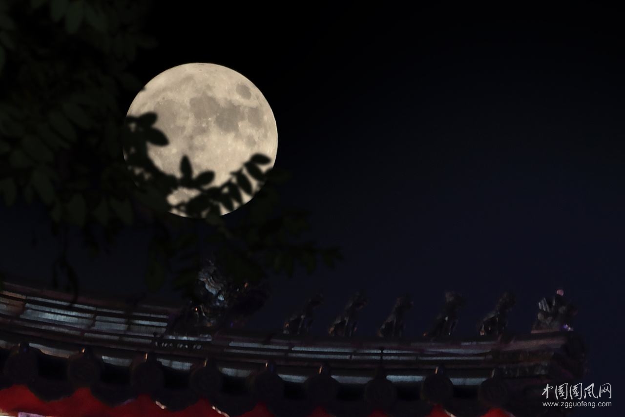 思念    作者/白云
