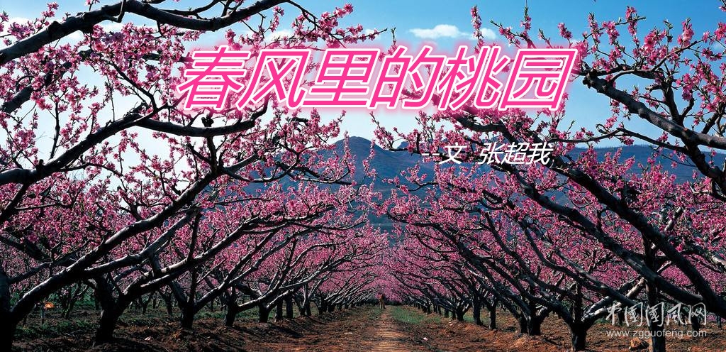 桃园.jpg