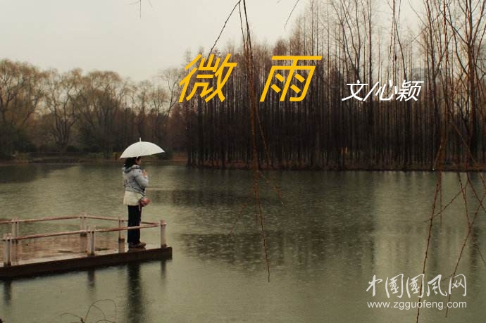 雨.jpg