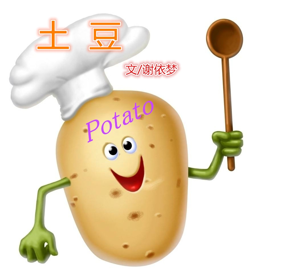  土豆（文  谢依梦）