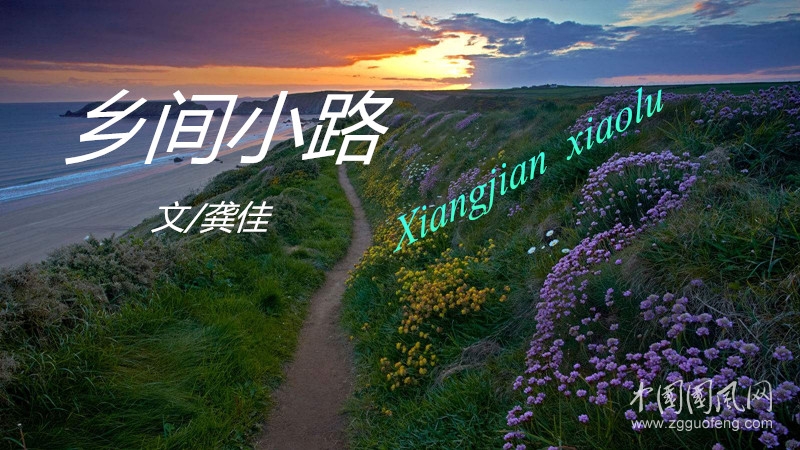 乡间小路（文/龚佳）