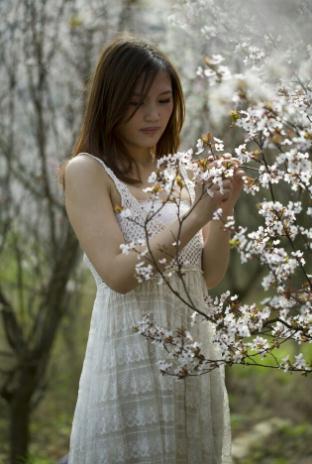 梨树下的女孩