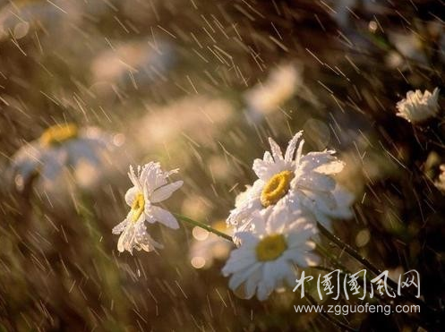 下雨了，心累了