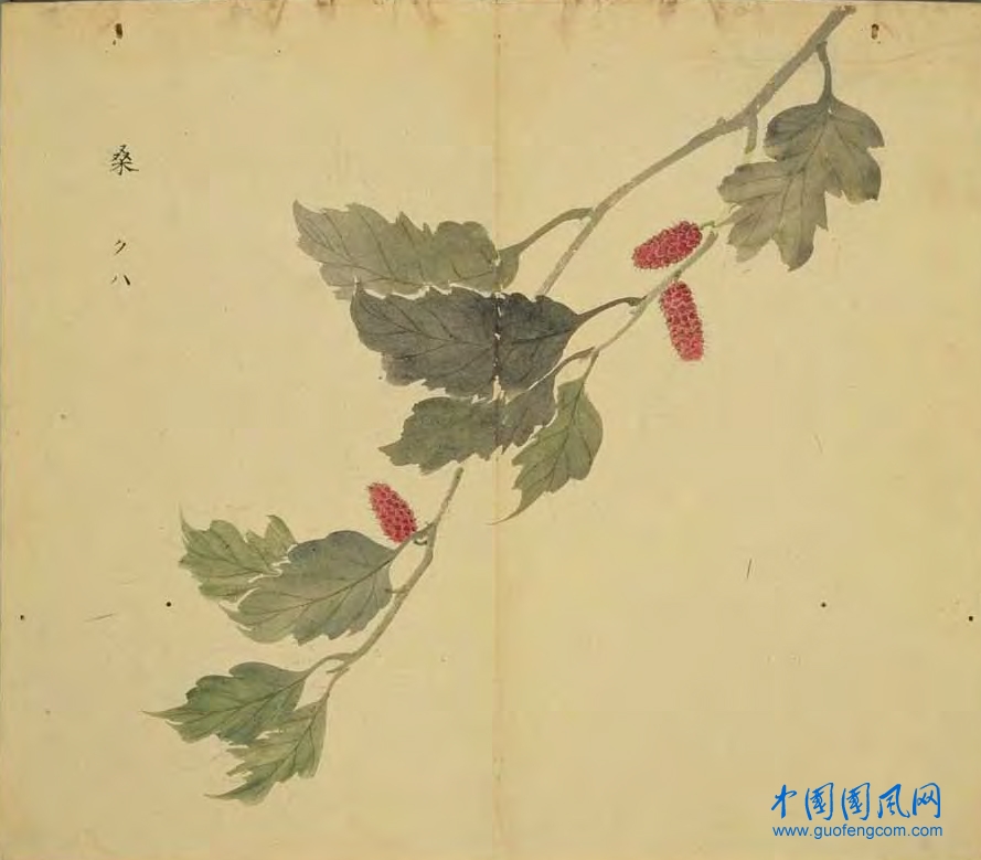_ShiJing_桑.jpg