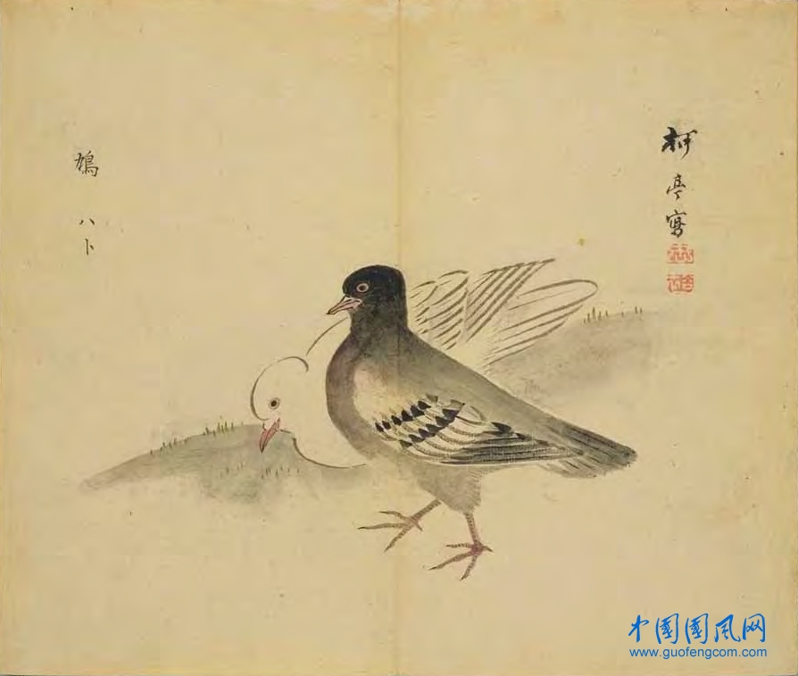 _ShiJing_鳩.jpg