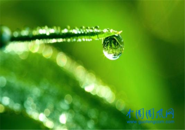 u=2608975702,1557907026&fm=26&gp=0.jpg