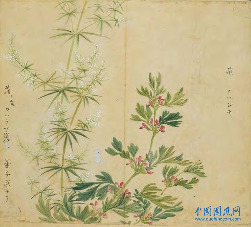 _ShiJing_蓷 蕭.jpg