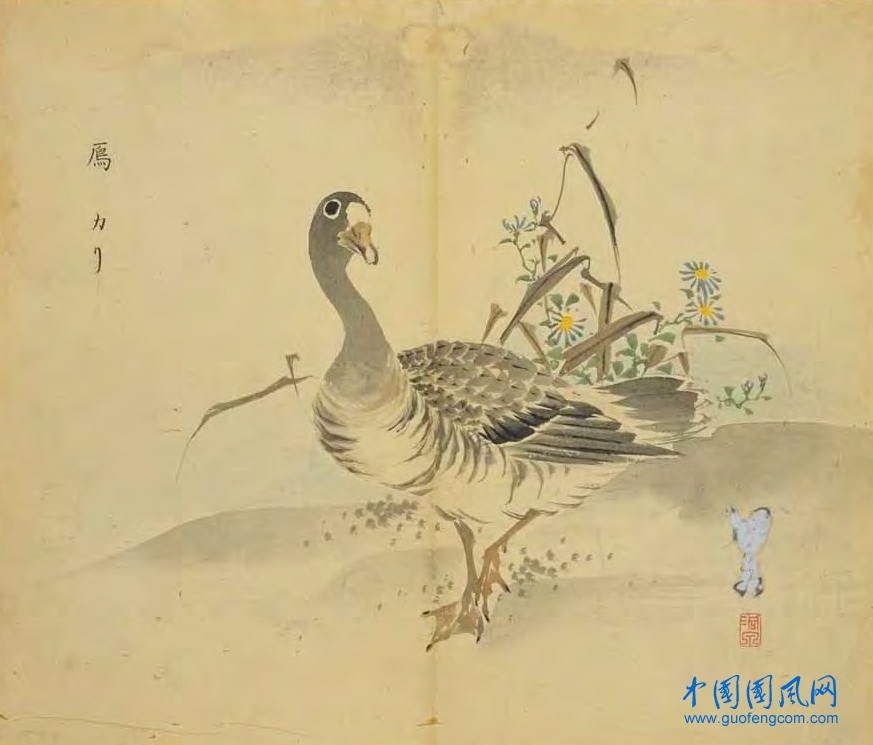 _ShiJing_鳫.jpg