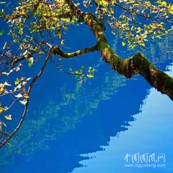 境随心转之10句宽心话