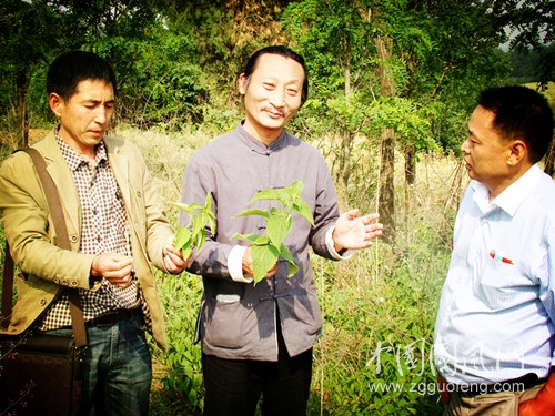DSC02930_爱奇艺.jpg