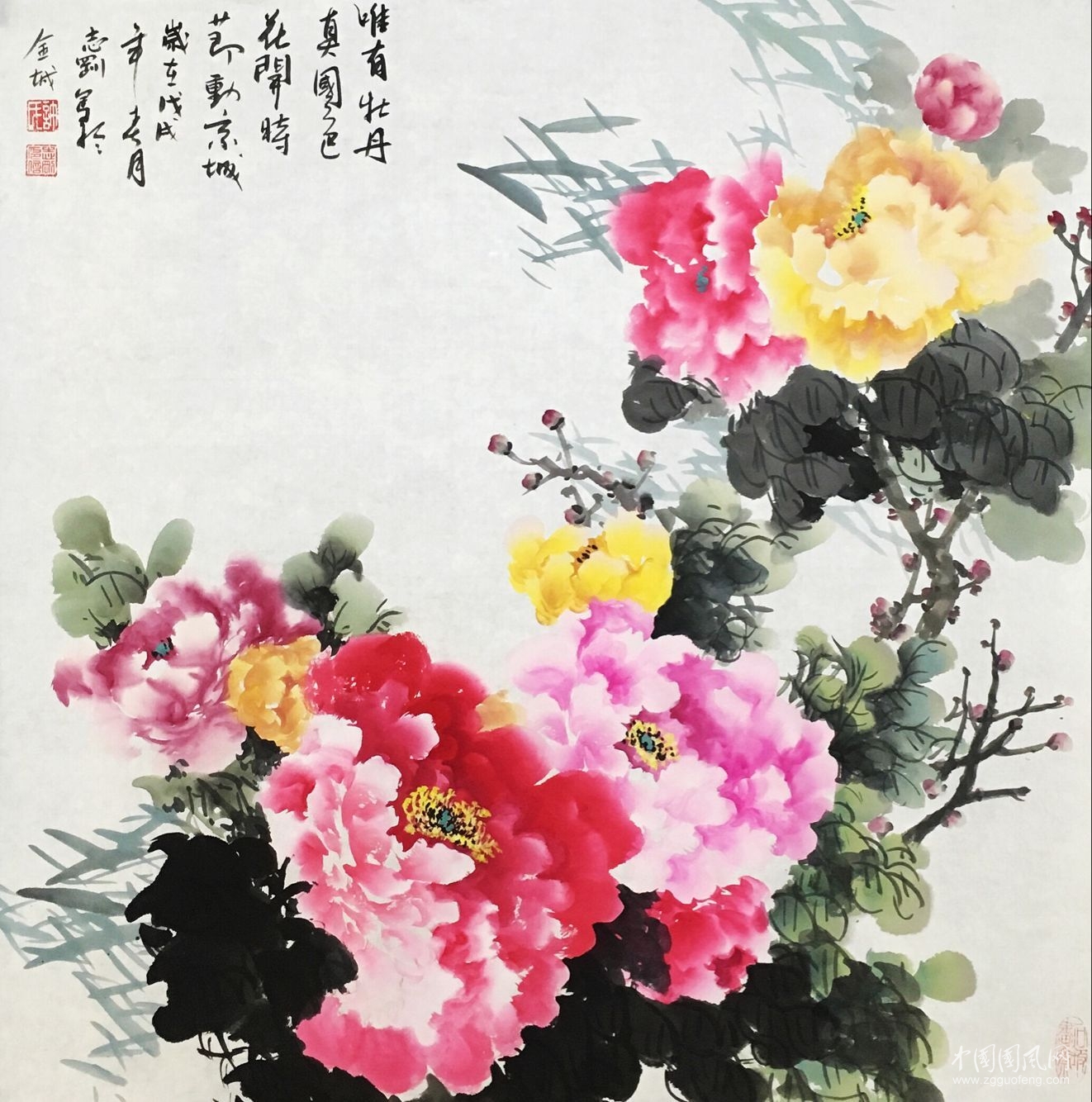 QQ图片20180411200642.jpg