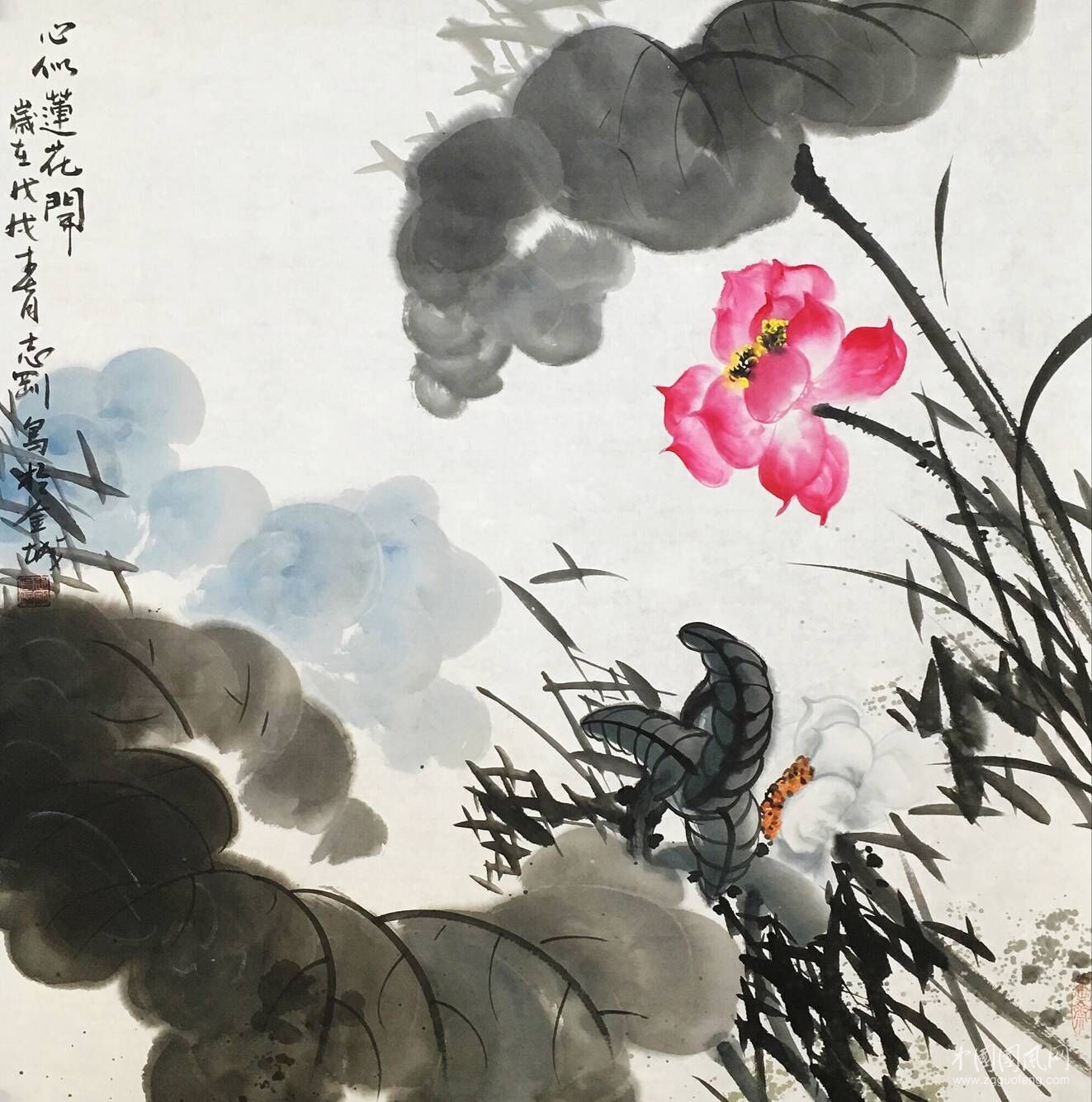 QQ图片20180413201241.jpg