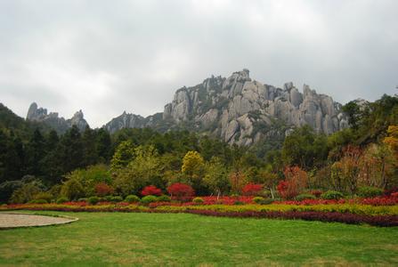77.jpg