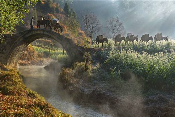 茶馬古道