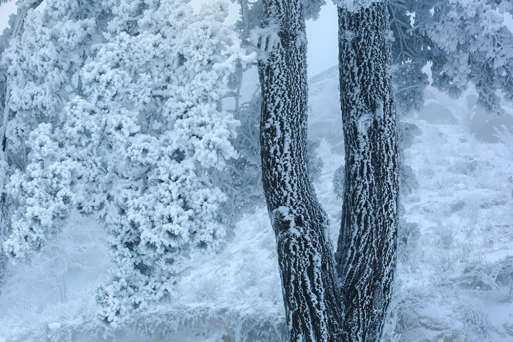 94.jpg
