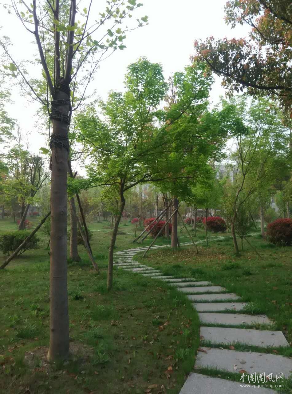 畅想春天   文/王海峰