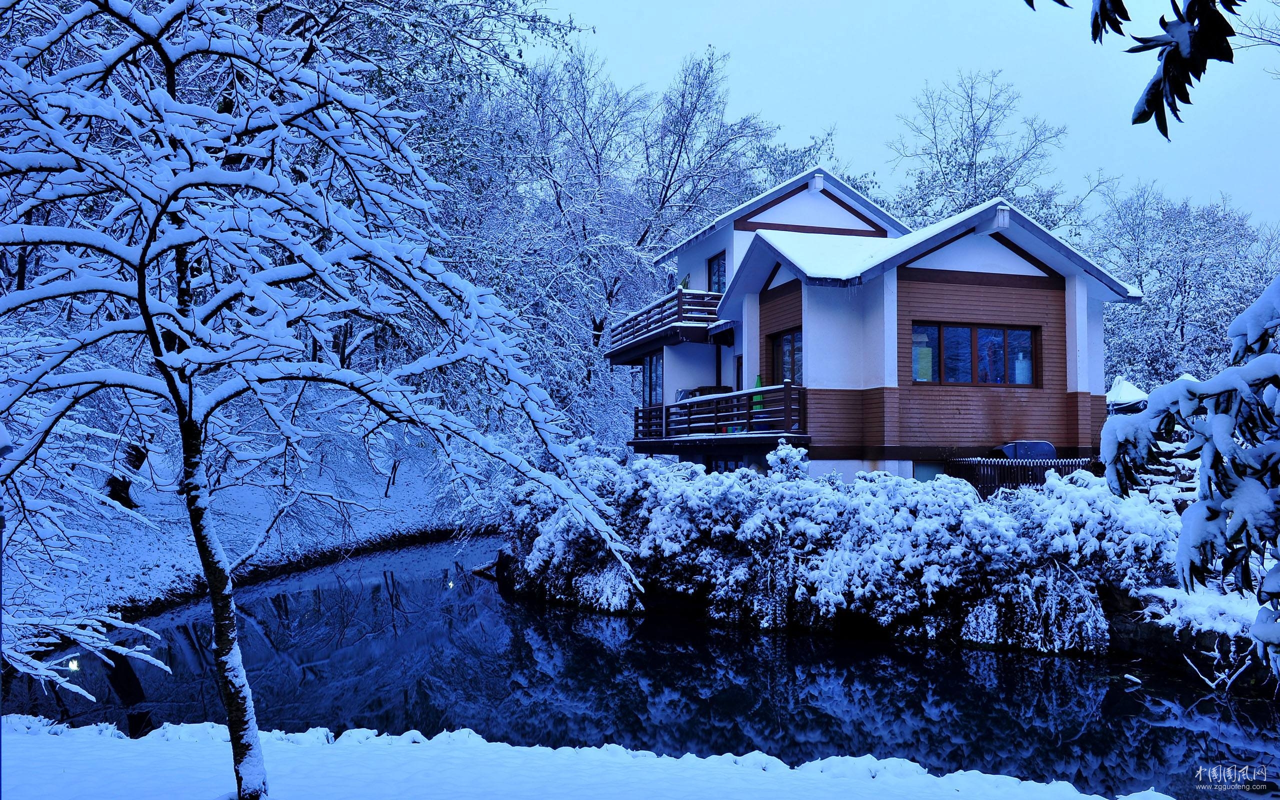 小雪    文/龚佳