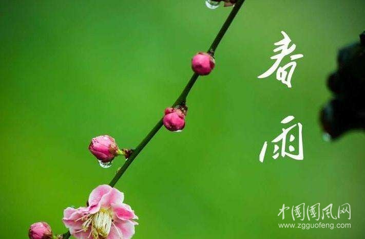 春  雨