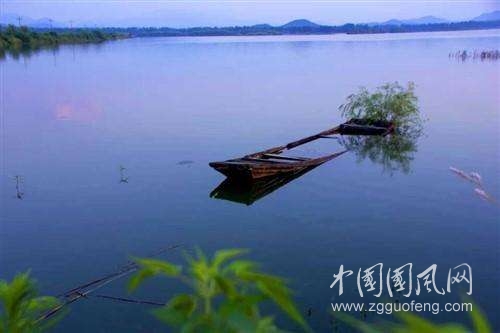 我把思念捎给你