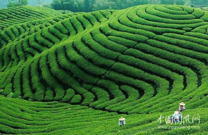 这样便好