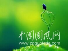 便条