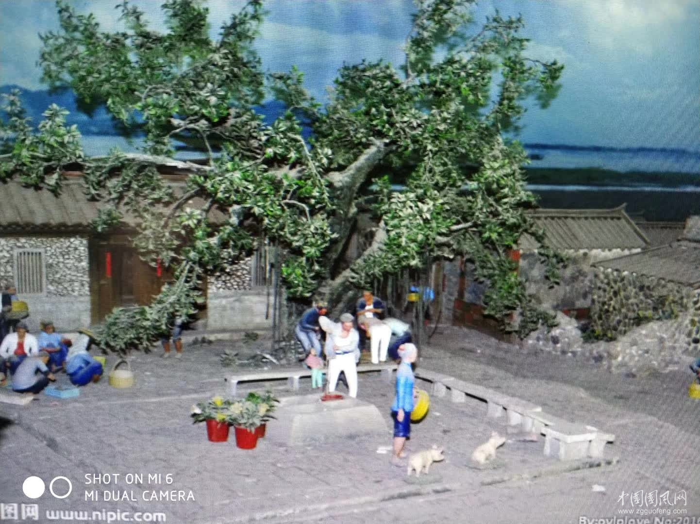 22.jpg