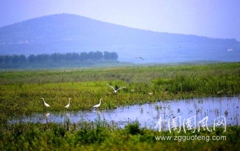 游化家湖有感  （ 文/牛高山）