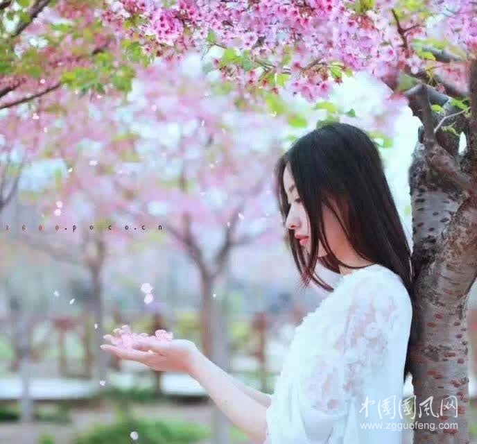 《真正爱你的人不会走》
