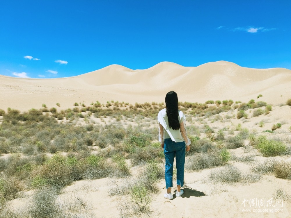 诗向远方   文/王海峰