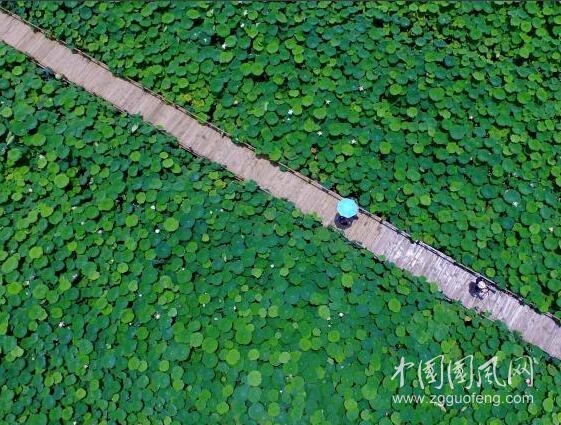 小暑
