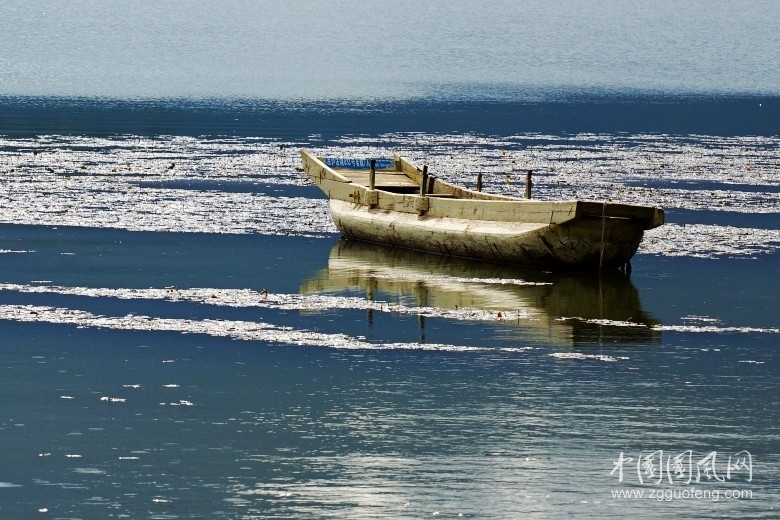 《青海兄弟》   文/青春鸟